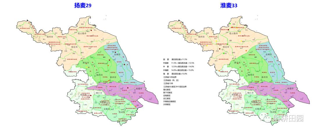 今日小麦价格2022最新行情｜2022年小麦市场最新动态