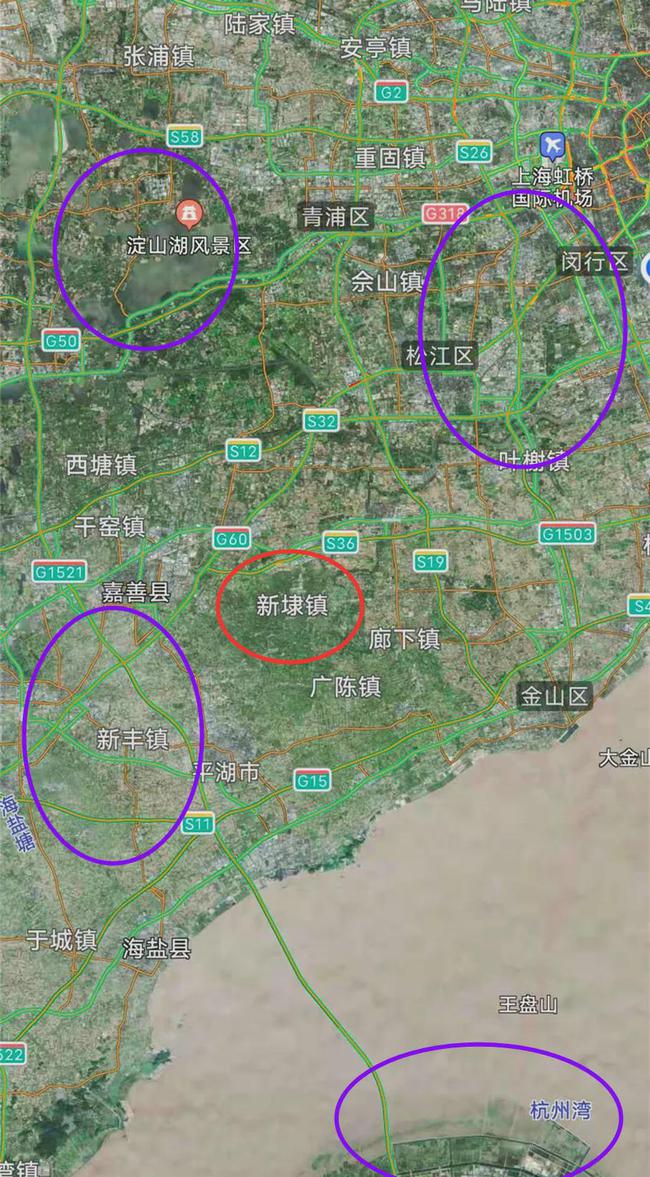 浙江平湖新埭最新房地产市场动态：房价行情一览